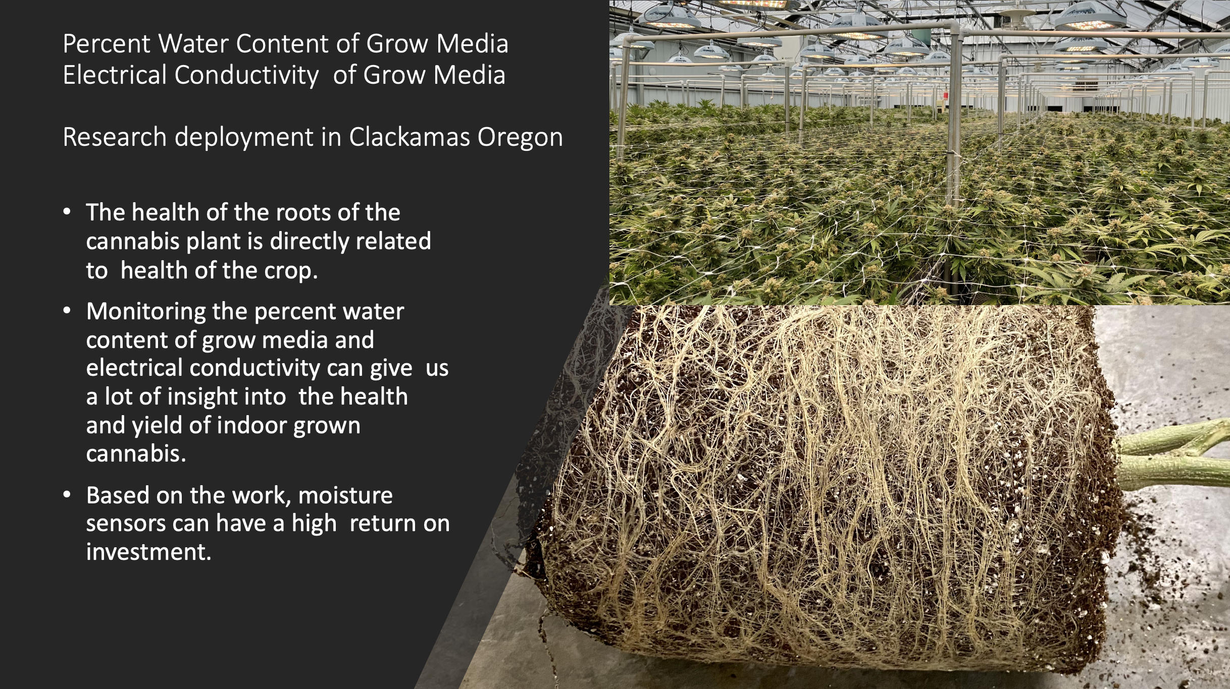Cannabis project