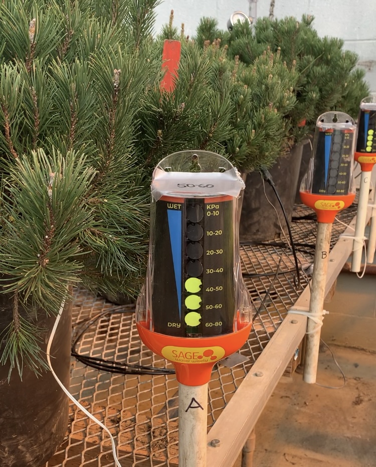 OSU SAGE greenhouse project